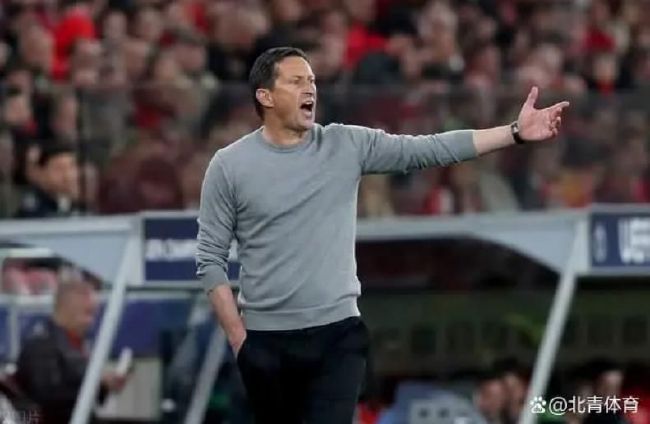 亚洲精品456在线播放无广告